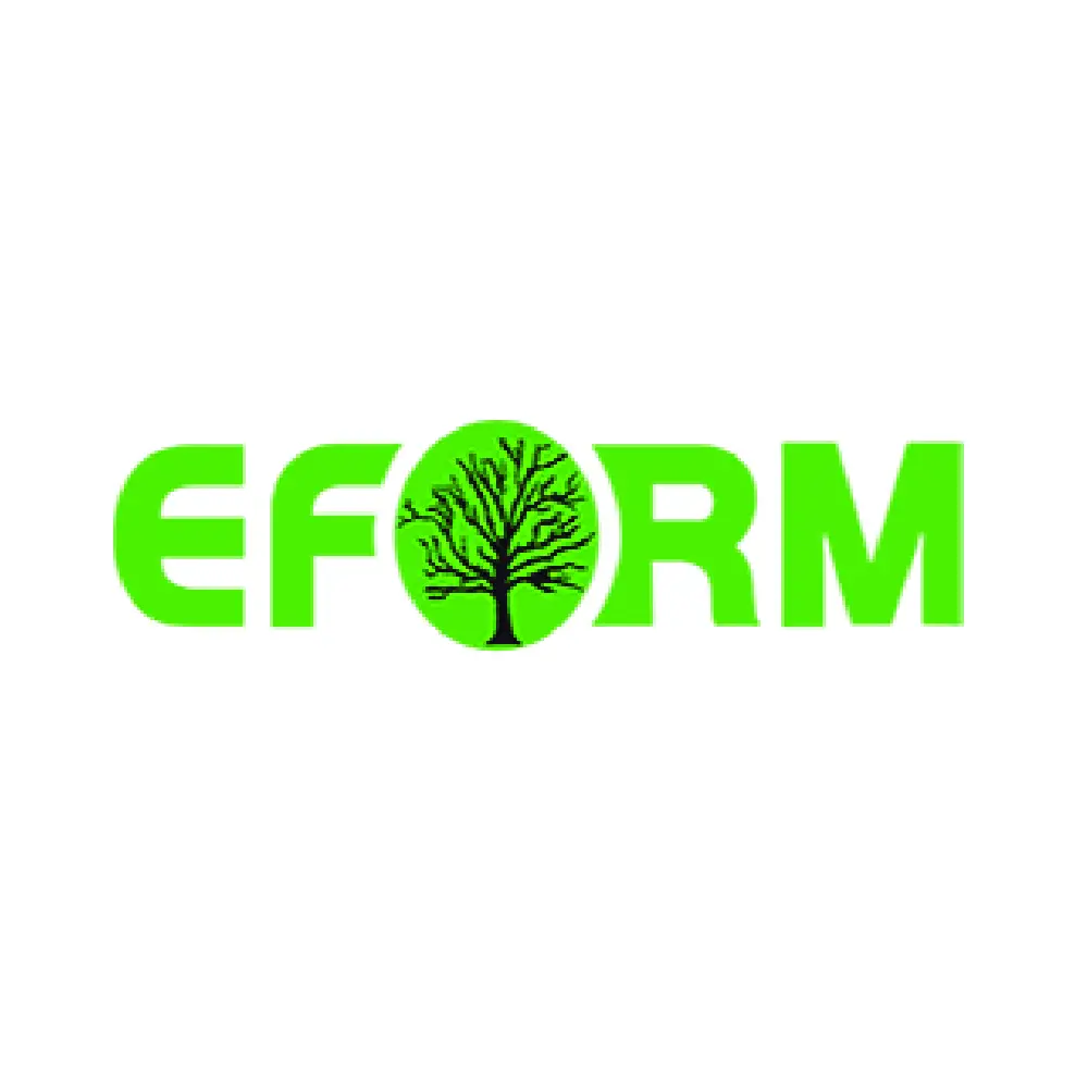 48.-Eform-100